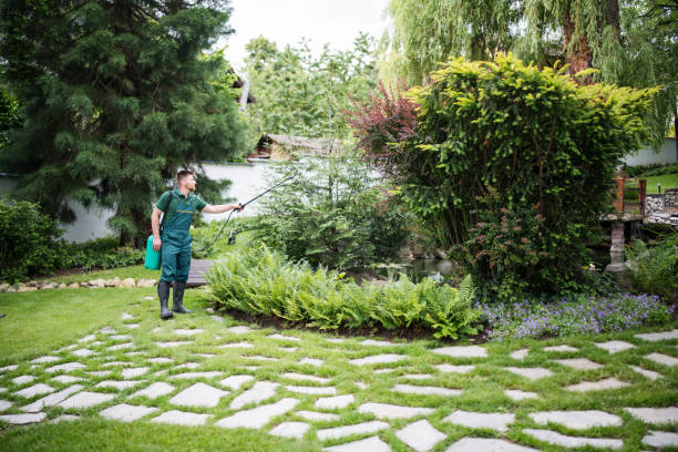 Best Pest Control for Businesses  in Minneapolis, MN
