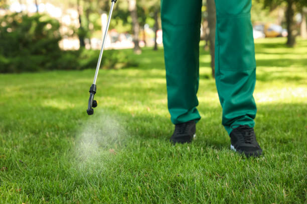 Best Termite Control Services  in Minneapolis, MN