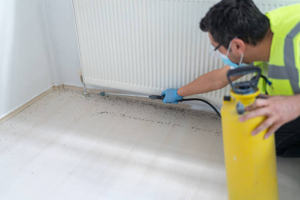 Pest Control Cost in Minneapolis, MN